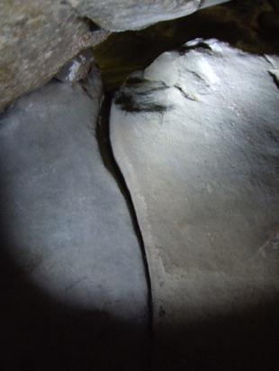 A Paleolithic Bison in the Massif de Fontainebleau? A tracing showing